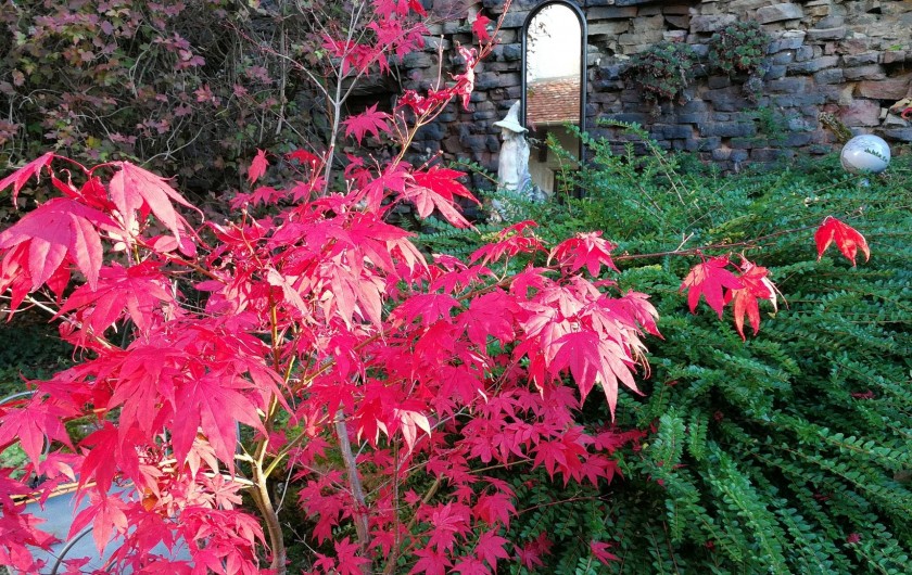Location de vacances - Gîte à Sancey-le-Grand - le jardin