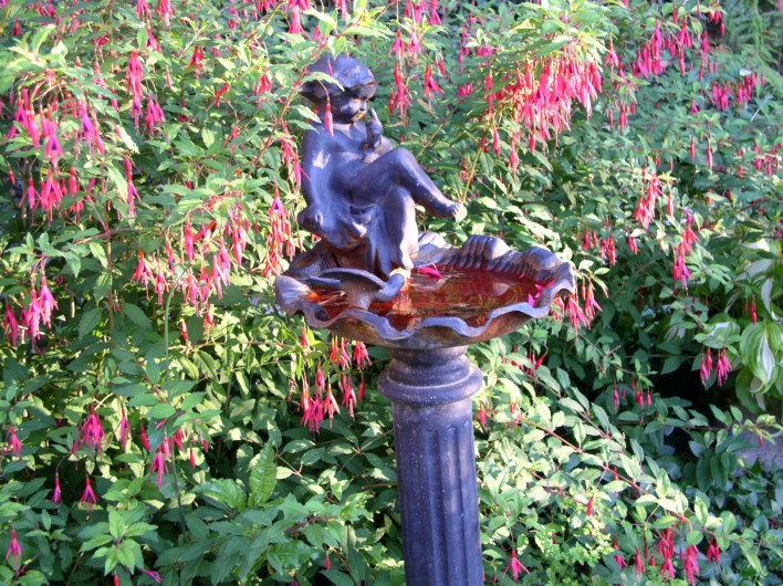Location de vacances - Gîte à Sancey-le-Grand - le bain d'oiseaux