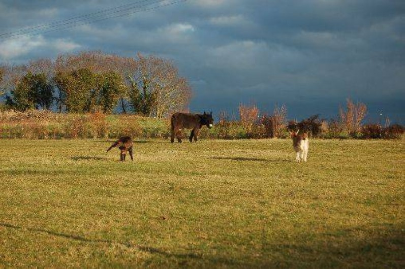 Location de vacances - Gîte à Saint-Malo