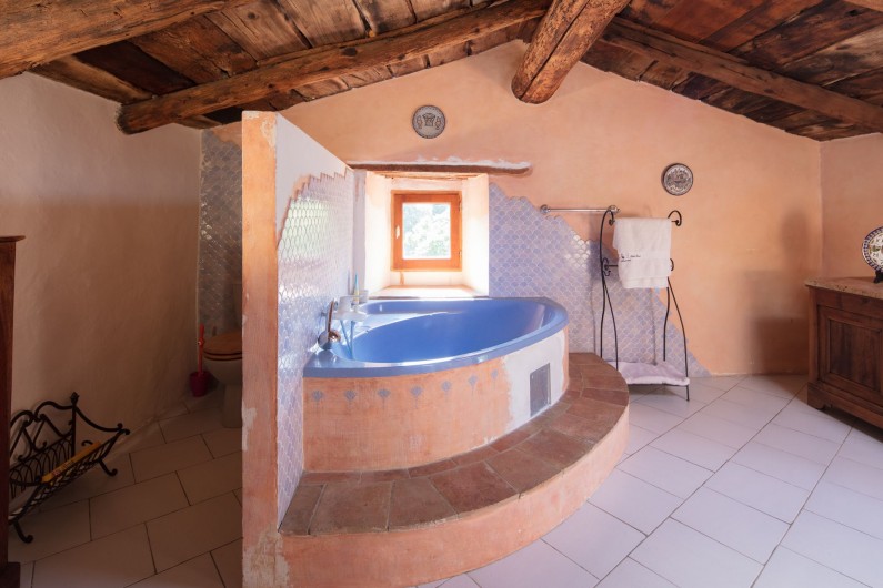 Location de vacances - Mas à Lasalle