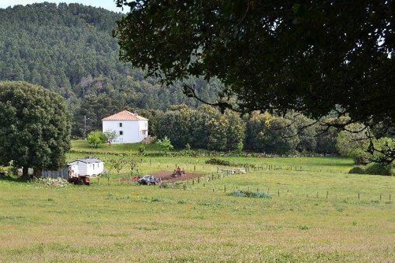 Location de vacances - Villa à Zonza