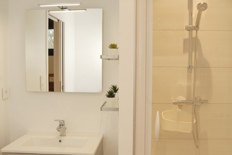 Location de vacances - Appartement à Saint-Amand-les-Eaux