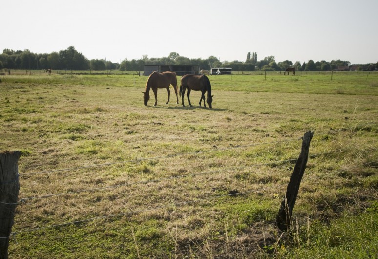 Location de vacances - Appartement à Saint-Amand-les-Eaux