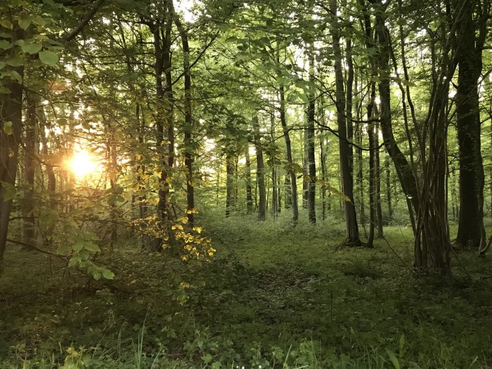 Location de vacances - Appartement à Saint-Amand-les-Eaux