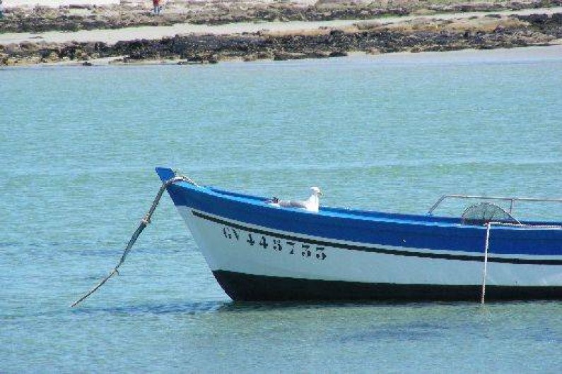 Location de vacances - Villa à Île-Tudy - Goeland au repos