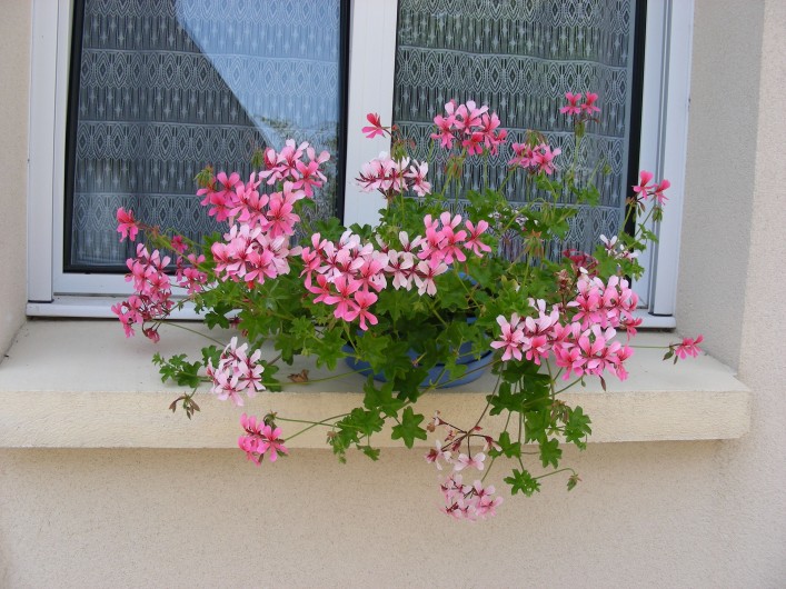 Location de vacances - Villa à Île-Tudy