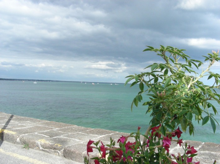 Location de vacances - Villa à Île-Tudy - Eau translucide