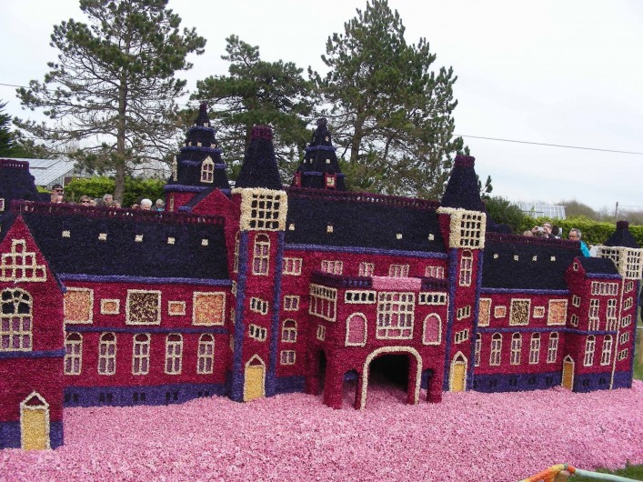 Location de vacances - Villa à Île-Tudy - Un palais tout en.... jacinthes Sublime pour la beauté des yeux et l'odorat