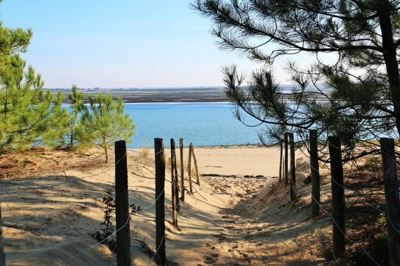 Location de vacances - Maison - Villa à Sainte-Marie-de-Ré - la plage....!!!!