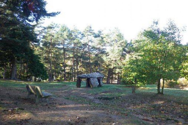 Location de vacances - Gîte à Saint-Nectaire - Le dolmen du parc