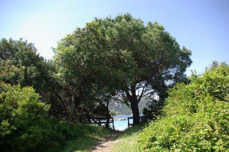 Location de vacances - Villa à Porto-Vecchio - arrivée devant la plage
