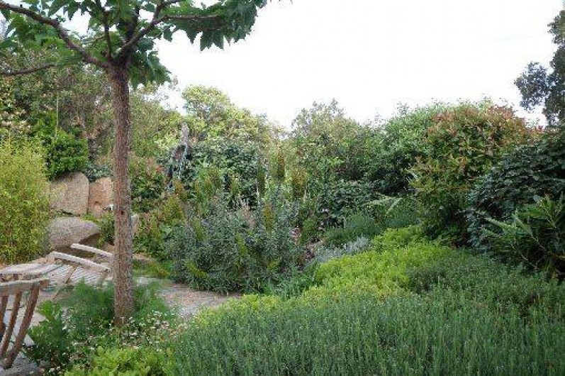 Location de vacances - Villa à Porto-Vecchio - Jardin/terrasse