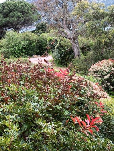 Location de vacances - Villa à Porto-Vecchio - vue de la chambre mezzanine