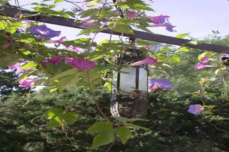 Location de vacances - Appartement à Grimaud