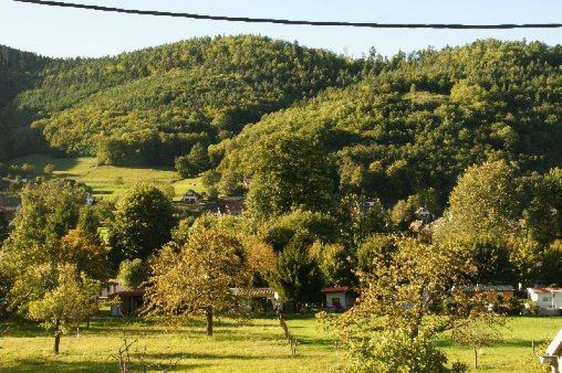 Location de vacances - Gîte à Luttenbach-prés-Munster
