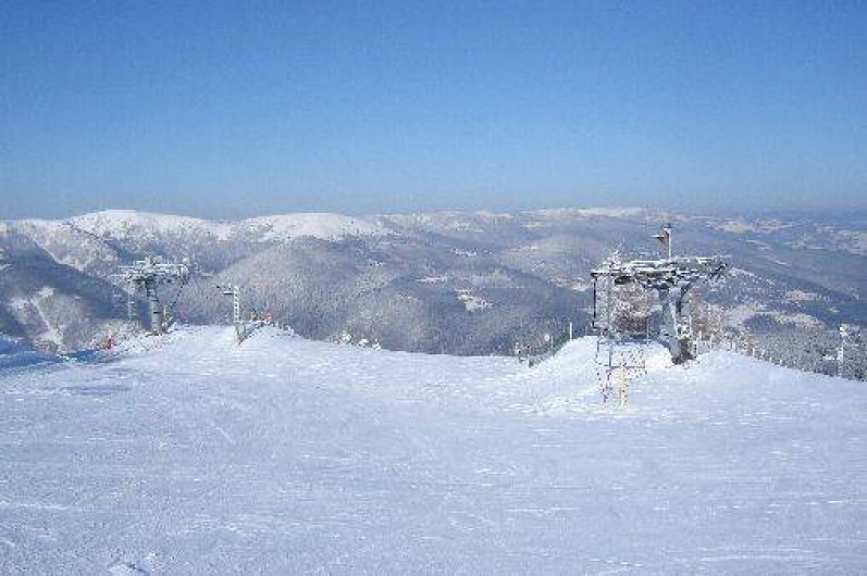 Location de vacances - Gîte à Luttenbach-prés-Munster