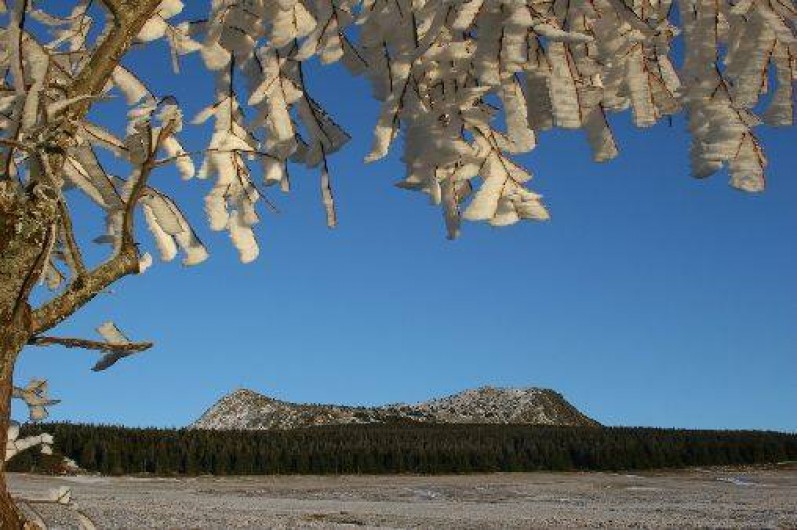 Location de vacances - Gîte à Freycenet-la-Tour
