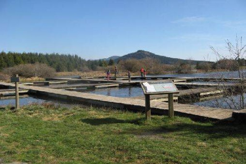 Location de vacances - Gîte à Freycenet-la-Tour