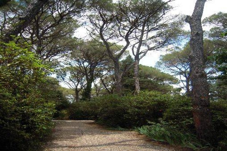 Location de vacances - Gîte à Lagamas