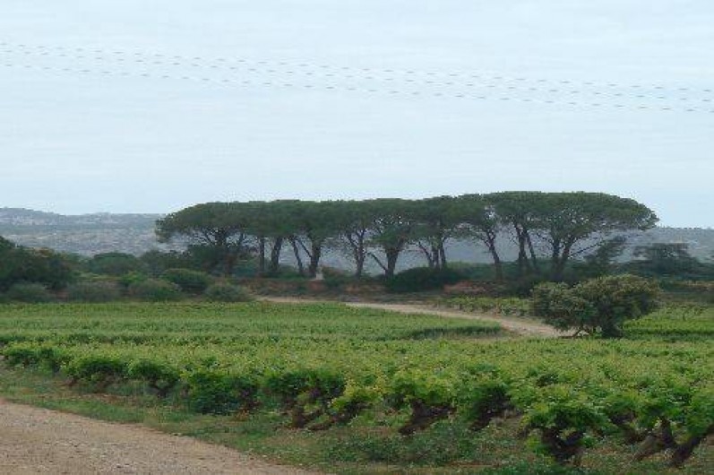 Location de vacances - Gîte à Lagamas