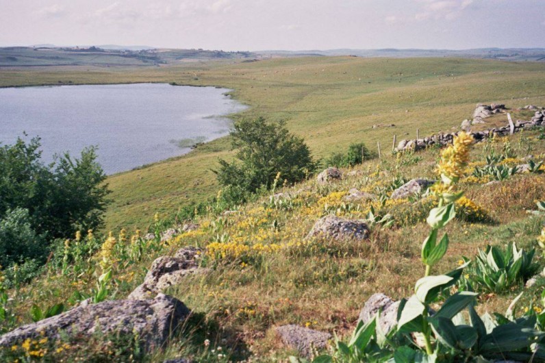 Location de vacances - Gîte à Saint-Pierre-de-Nogaret - Sur la Route des Lacs de l'Aubrac au printemps