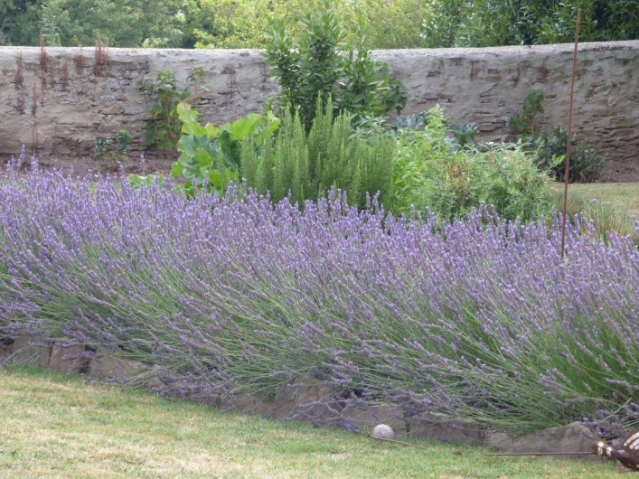 Location de vacances - Gîte à La Selve