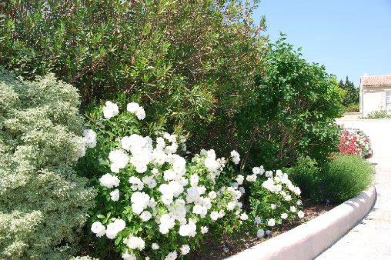 Location de vacances - Villa à Eyragues