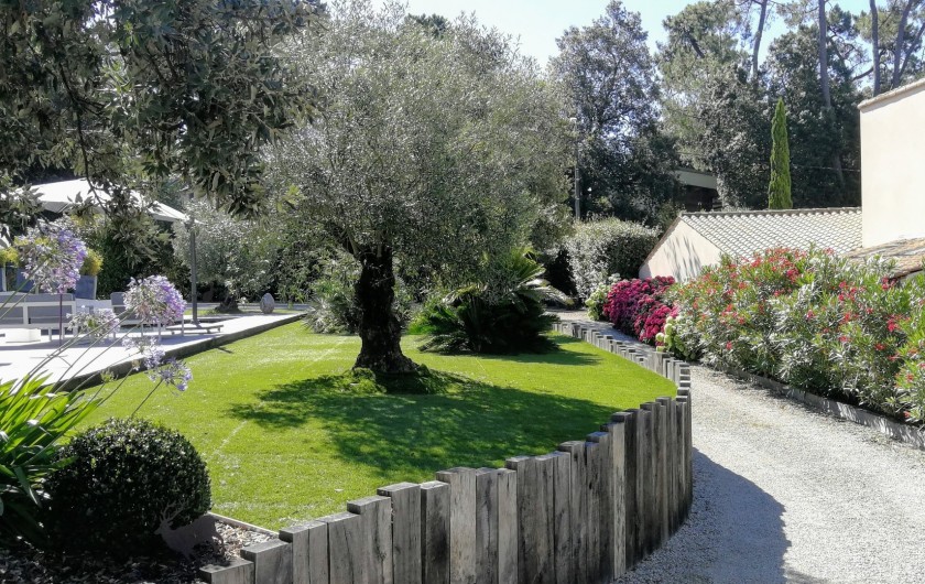 Location de vacances - Villa à Saint-Palais-sur-Mer - ses oliviers ,ses lauriers roses