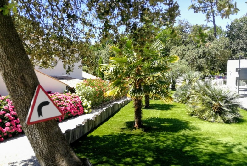 Location de vacances - Villa à Saint-Palais-sur-Mer - le jardin coloré, ses palmiers sa pelouse verdoyante