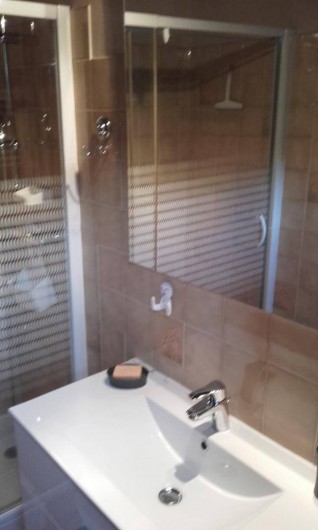 Location de vacances - Appartement à Le Grand-Bornand - salle de douche - vasque simple