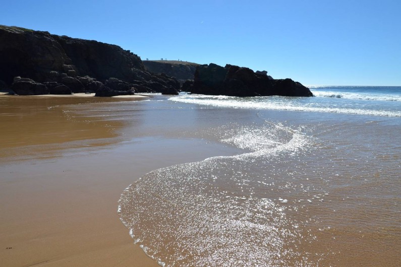 Location de vacances - Studio à Quiberon