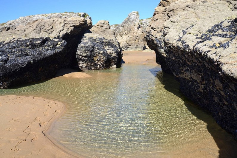 Location de vacances - Studio à Quiberon
