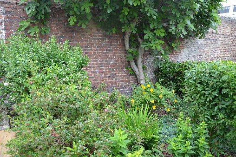 Location de vacances - Appartement à Berck