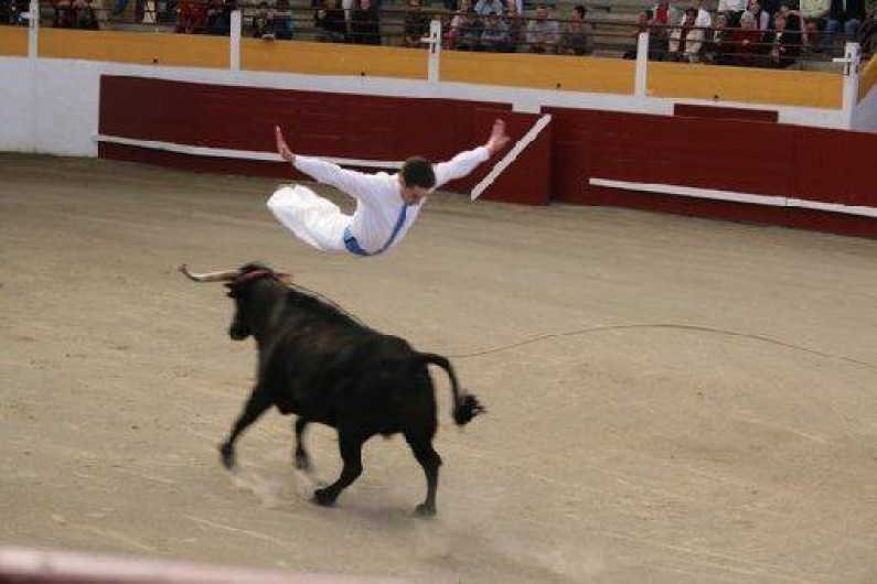Location de vacances - Chambre d'hôtes à Habas - Course de VACHES landaises  sans mise à mort : saut de l'ange