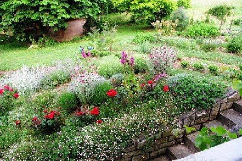 Location de vacances - Chambre d'hôtes à Habas - Jardin d'aromatiques