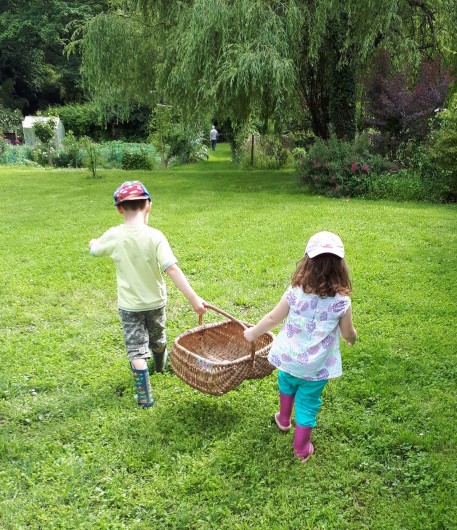 Location de vacances - Chambre d'hôtes à Habas - Direction le potager bio pour ramasser les légumes pour le dîner