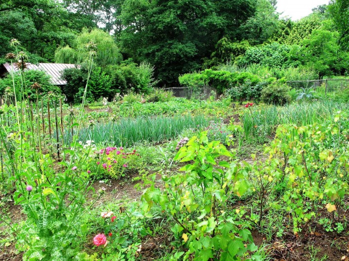 Location de vacances - Chambre d'hôtes à Habas - Le potager qui démarre au printemps sans traitements, nous pouvons échanger