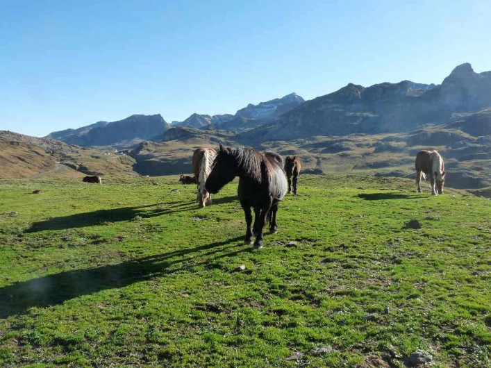 Location de vacances - Chambre d'hôtes à Habas - Promenade au Pays basque, découverte des pottocks.