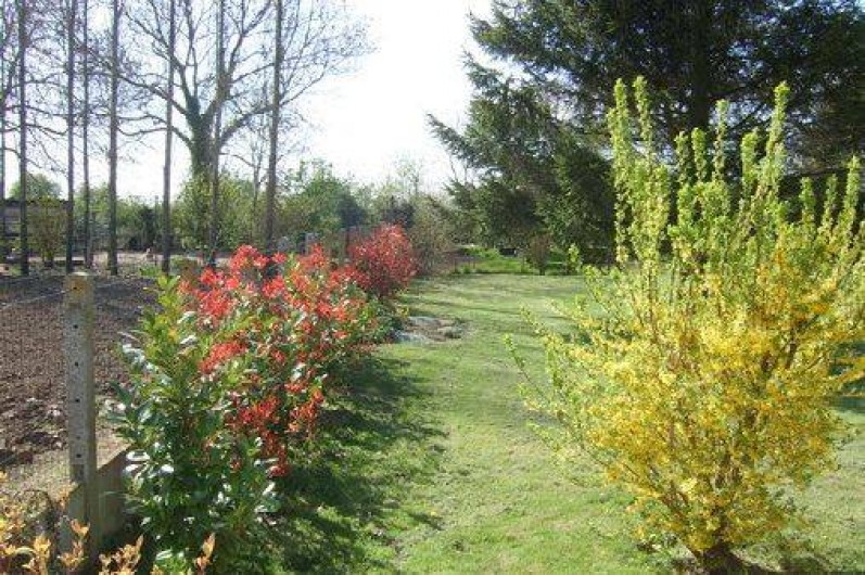 Location de vacances - Gîte à Quercamps