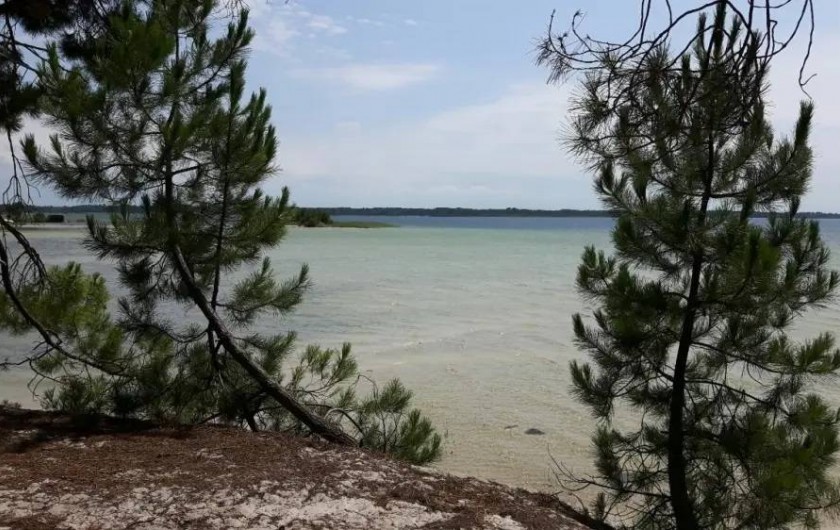 Location de vacances - Maison - Villa à Sanguinet