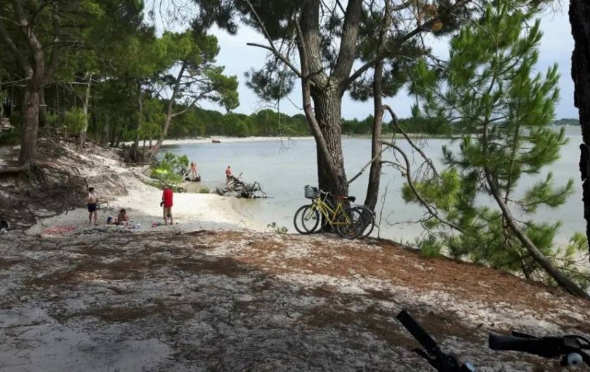 Location de vacances - Maison - Villa à Sanguinet