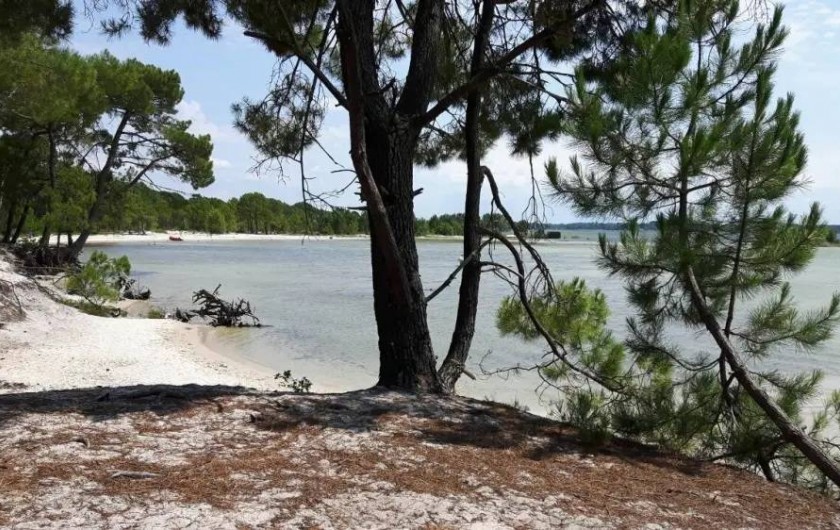 Location de vacances - Maison - Villa à Sanguinet