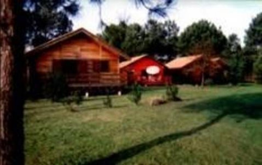 Location de vacances - Maison - Villa à Sanguinet