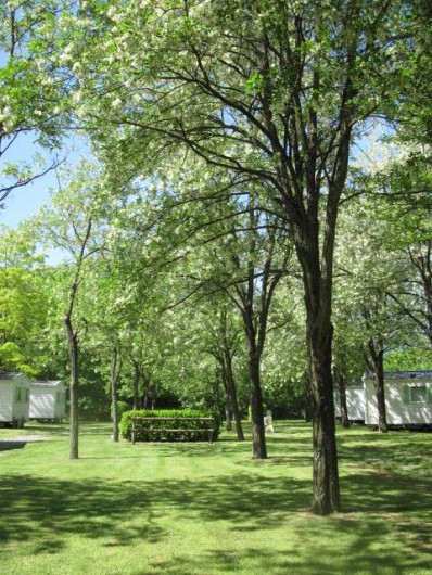 Location de vacances - Camping à Mercus-Garrabet