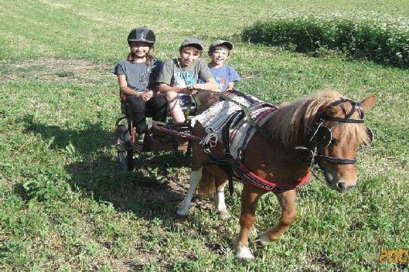 Location de vacances - Gîte à Saint-Léger-les-Mélèzes