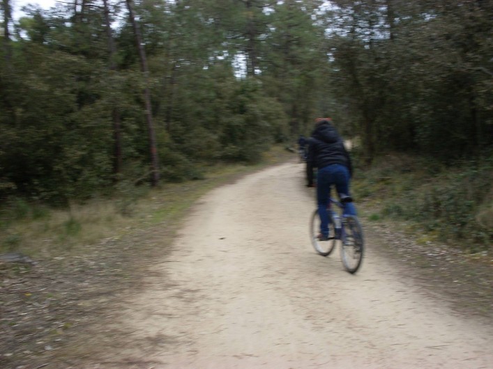 Location de vacances - Camping à Saint-Jean-de-Monts - forêt à proximité nombreuses pistes cyclables ,pédestres e équestres