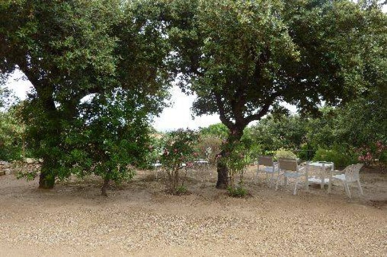 Location de vacances - Appartement à Monticello