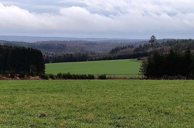 Location de vacances - Gîte à Paliseul - Fays-Les-Veneurs