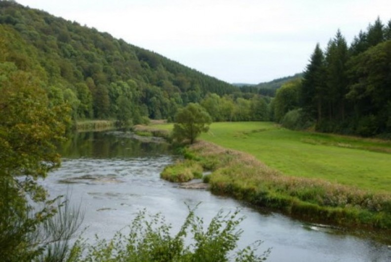 Location de vacances - Gîte à Paliseul - La Semois