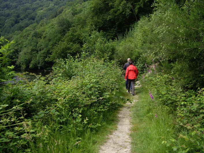 Location de vacances - Gîte à Paliseul - Les environs